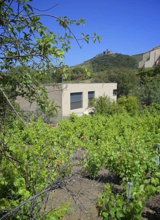 Le Clos Saint Elme 科利尤尔 外观 照片