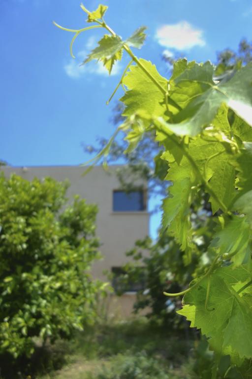 Le Clos Saint Elme 科利尤尔 外观 照片